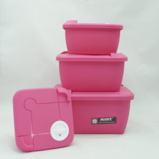 4 Pieces Storage Box (Fresh Box-1413)