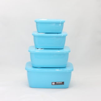 4 Pieces Storage Box (Fresh Box-1412)