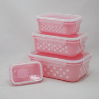 4 Pieces Storage Box (Fresh Box-8096)