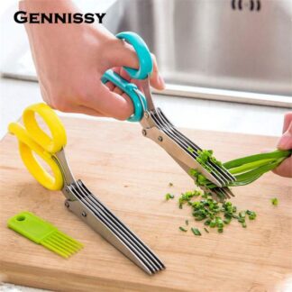 Multi-blade Salad Scissor