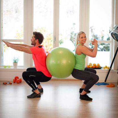 Gym Ball 65 cm Diameter (Pump Included)