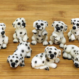 8 Pcs Dog Set