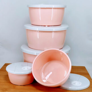 5 Pieces Storage Box (Fresh Box-NK-1909) Round