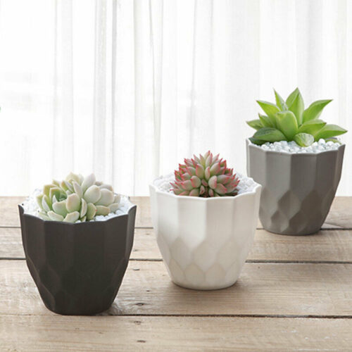 Poly Garden / Plastic Flower Pots 9201 - 9.5 x 8.5 cm