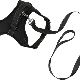 No-Pull Padded Adjustable Dog Harness Vest Heavy Duty Pet Lead Leash Set for Medium Dogs