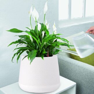 Poly Garden / Double Layer Self Watering Plastic Flower Pot Planter for Indoor/ Outdoor Plants Indoor and Balcony (2212)