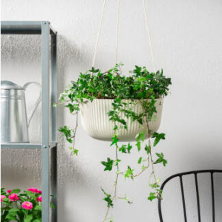 Poly Garden / Ceiling Hanging planter, indoor/outdoor Self Watering (DW-1)