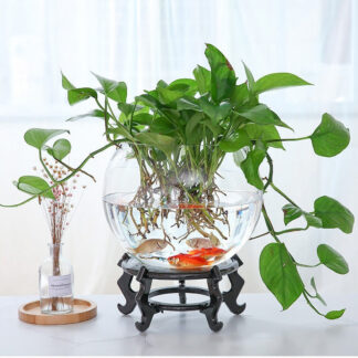 Minimalist Glass Bowl Vase – Ideal for Lucky Bamboo, Plants or Fish