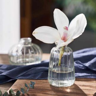 Floral Essence / MINI Ribbed GLASS Vase