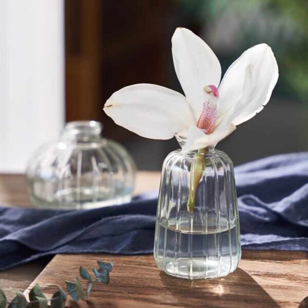 Floral Essence / MINI Ribbed GLASS Vase