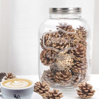 Mason Jar | Cookie Jar | 5L